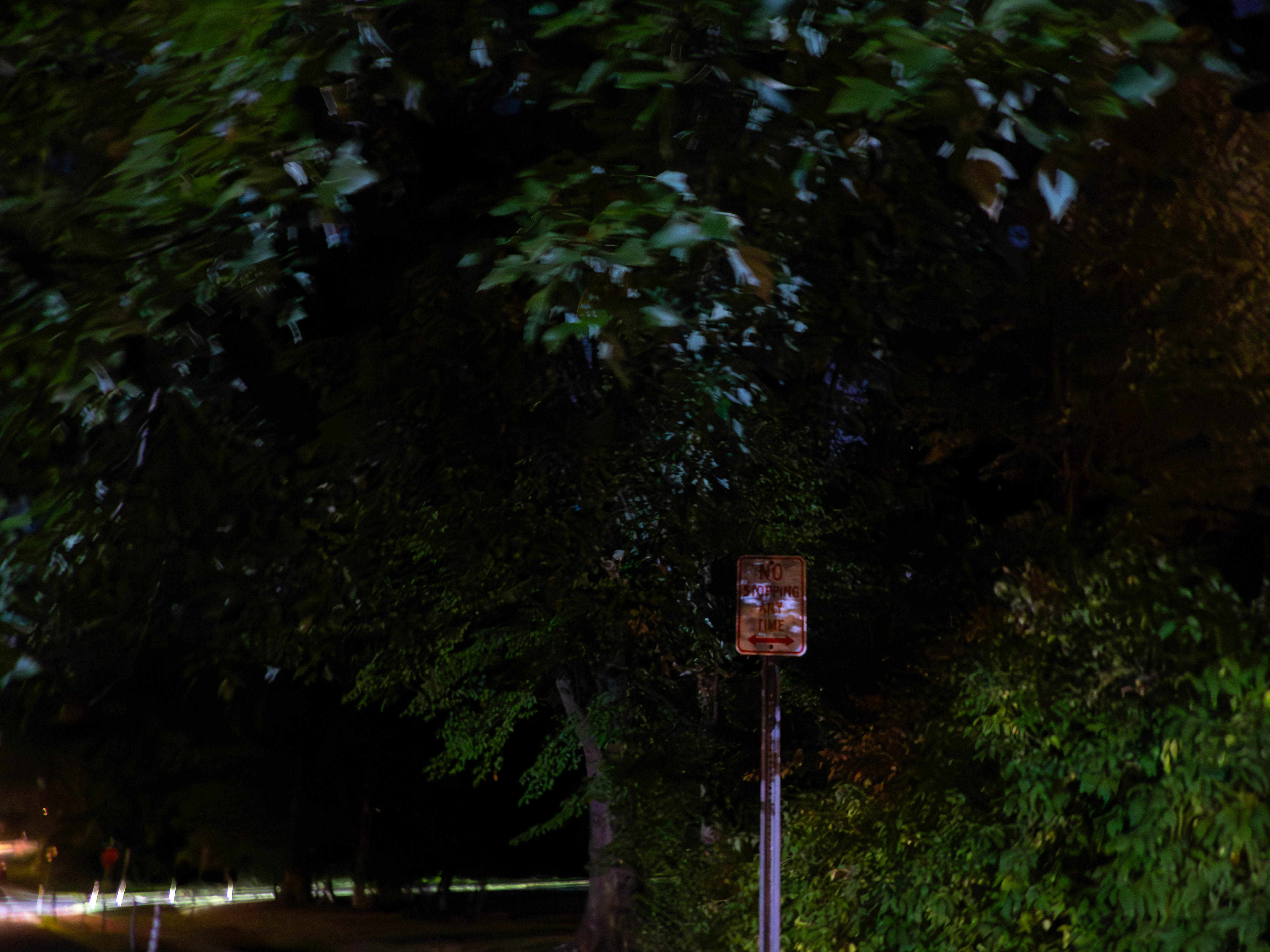 Sign at night