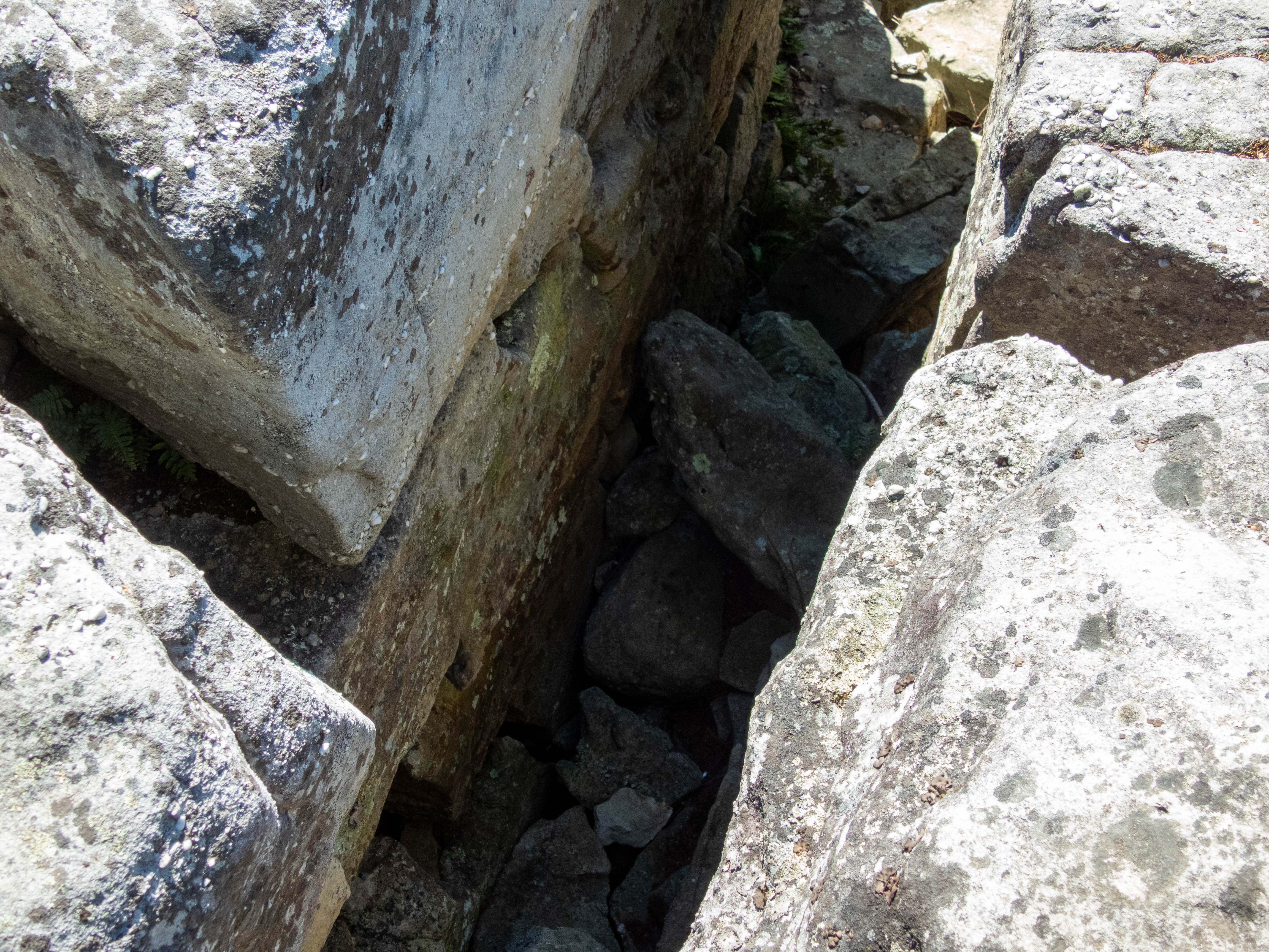 Crevice