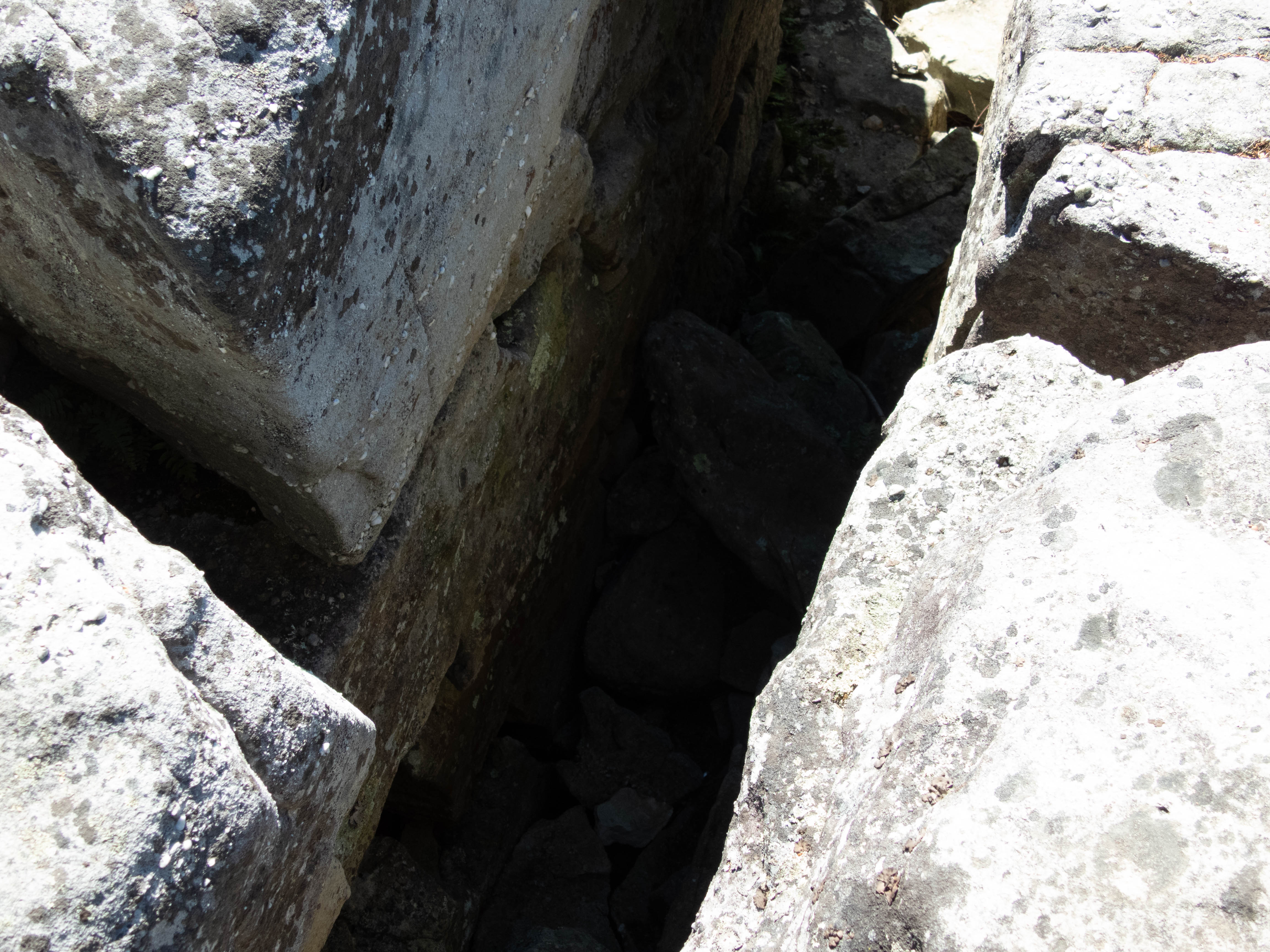 Unedited version of Crevice