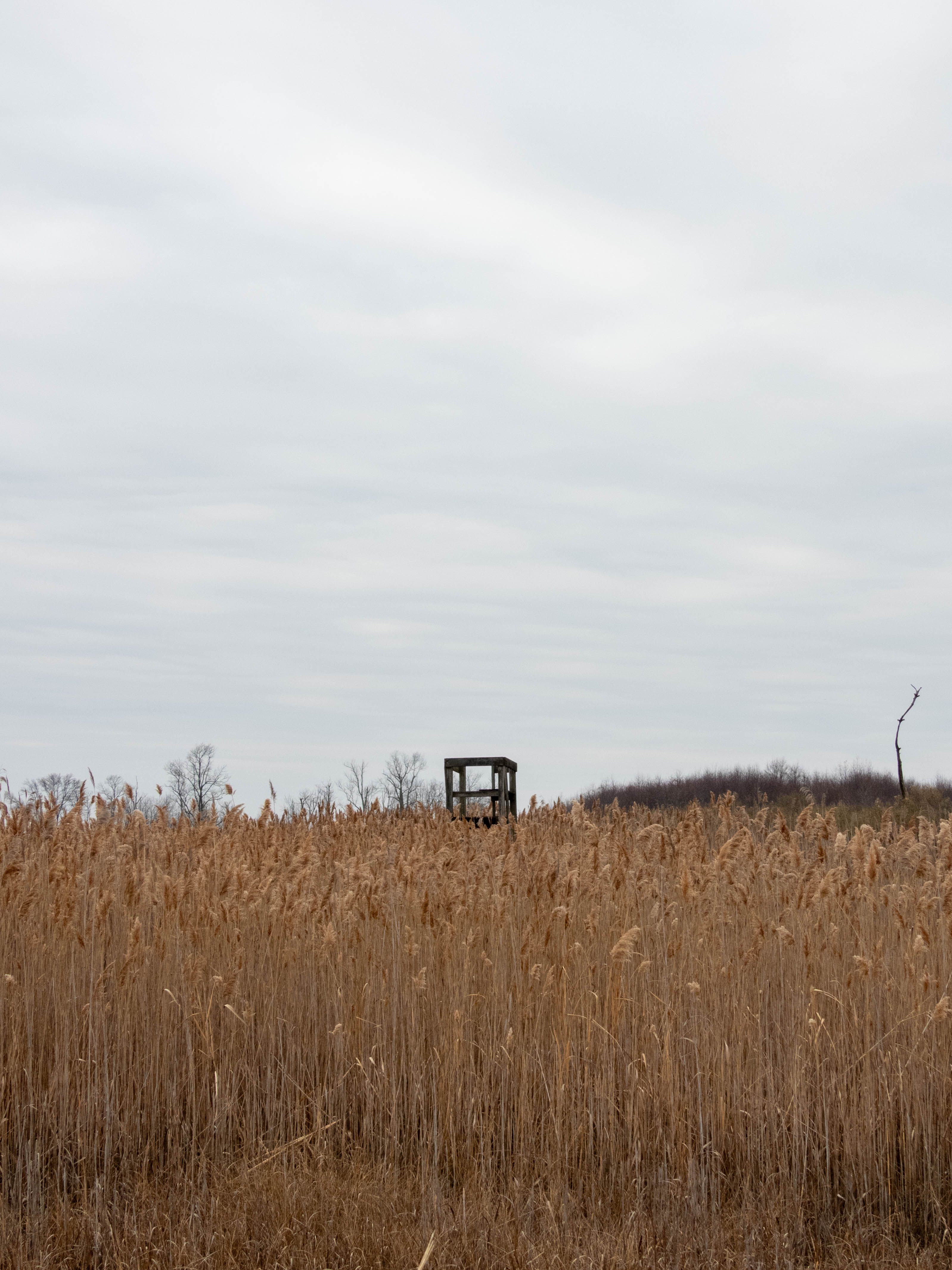 Little observation deck