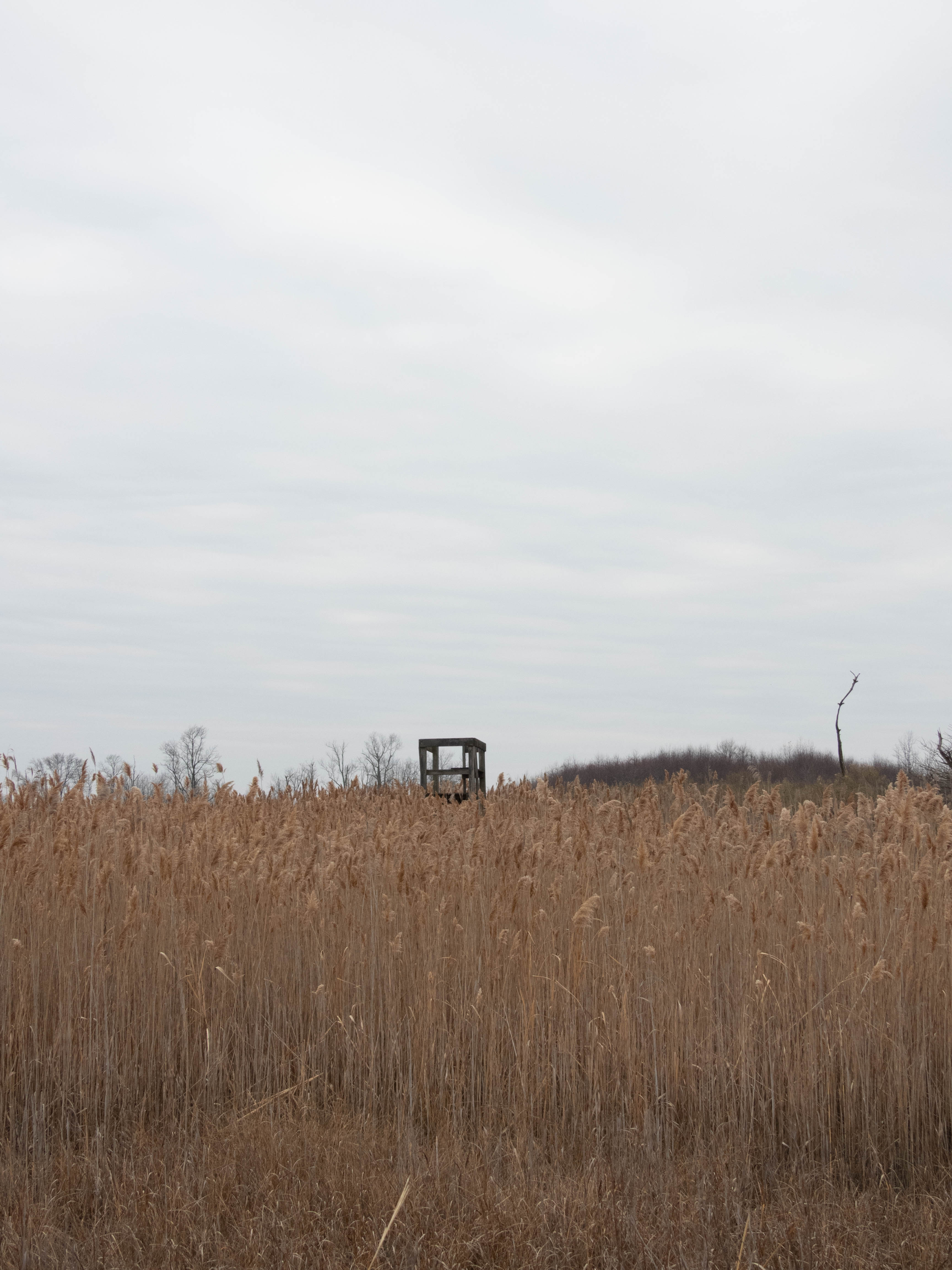 Unedited version of Little observation deck