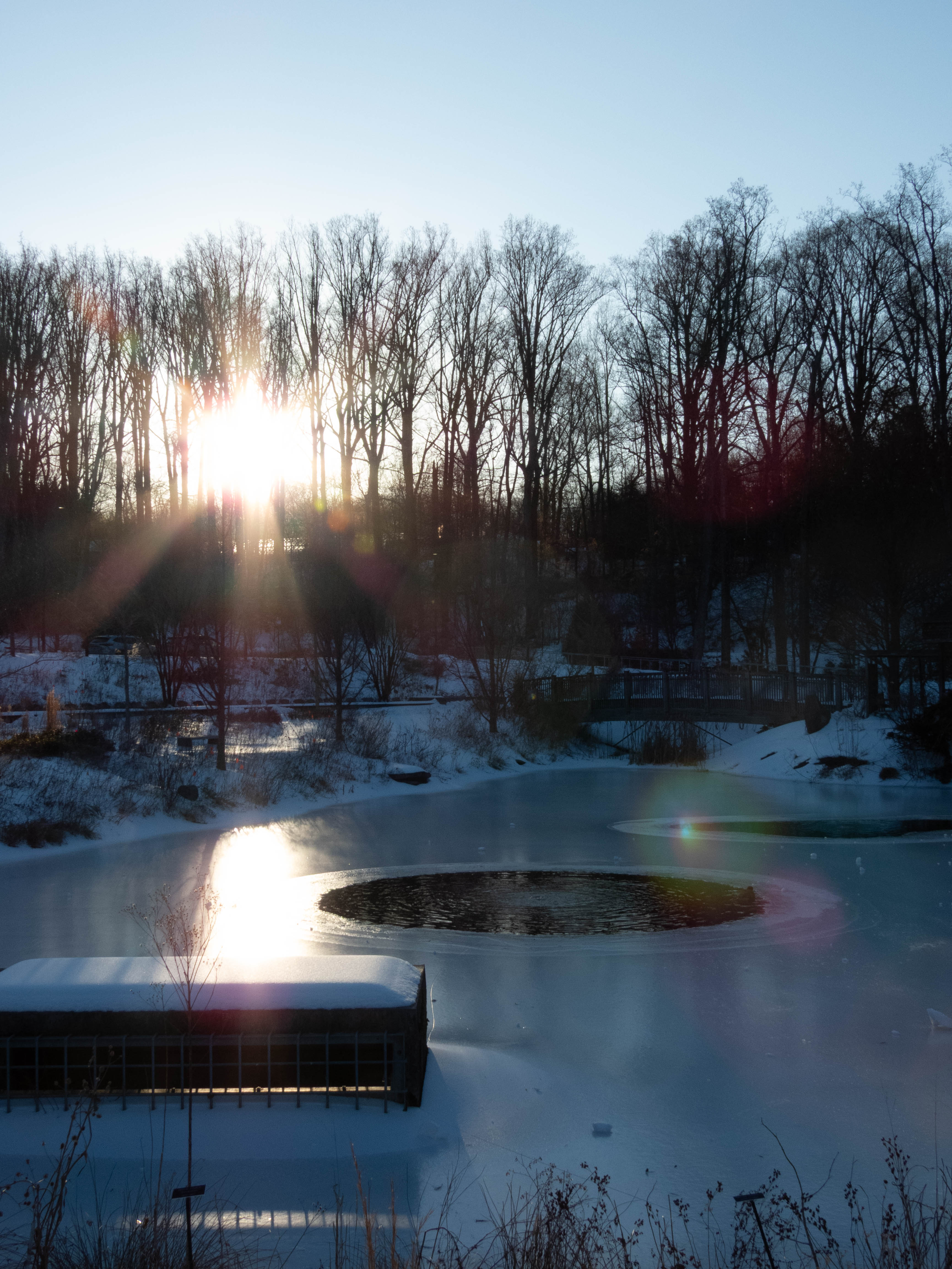 Unedited version of Sunset at Brookside Gardens