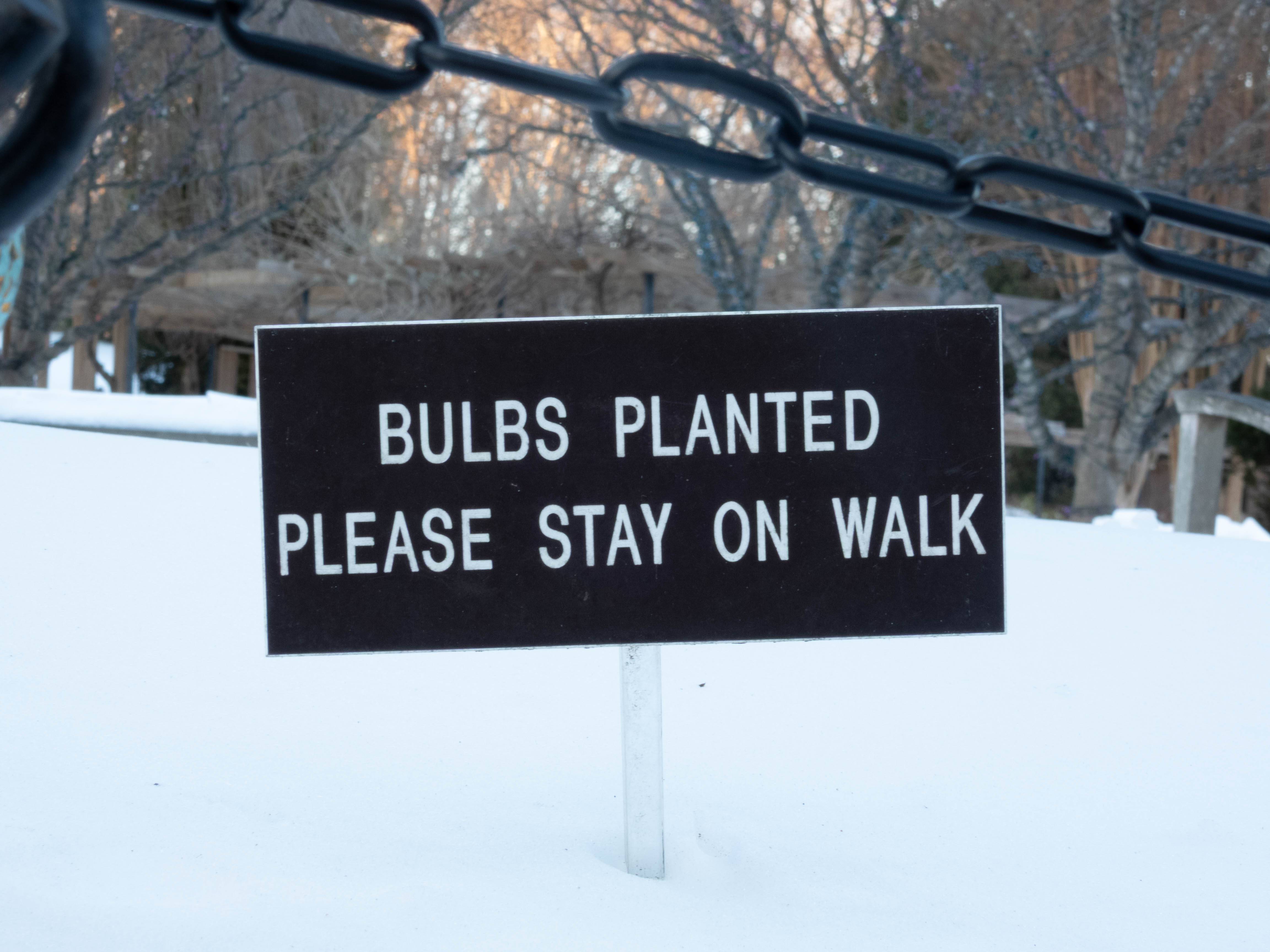 Unedited version of Please stay on walk