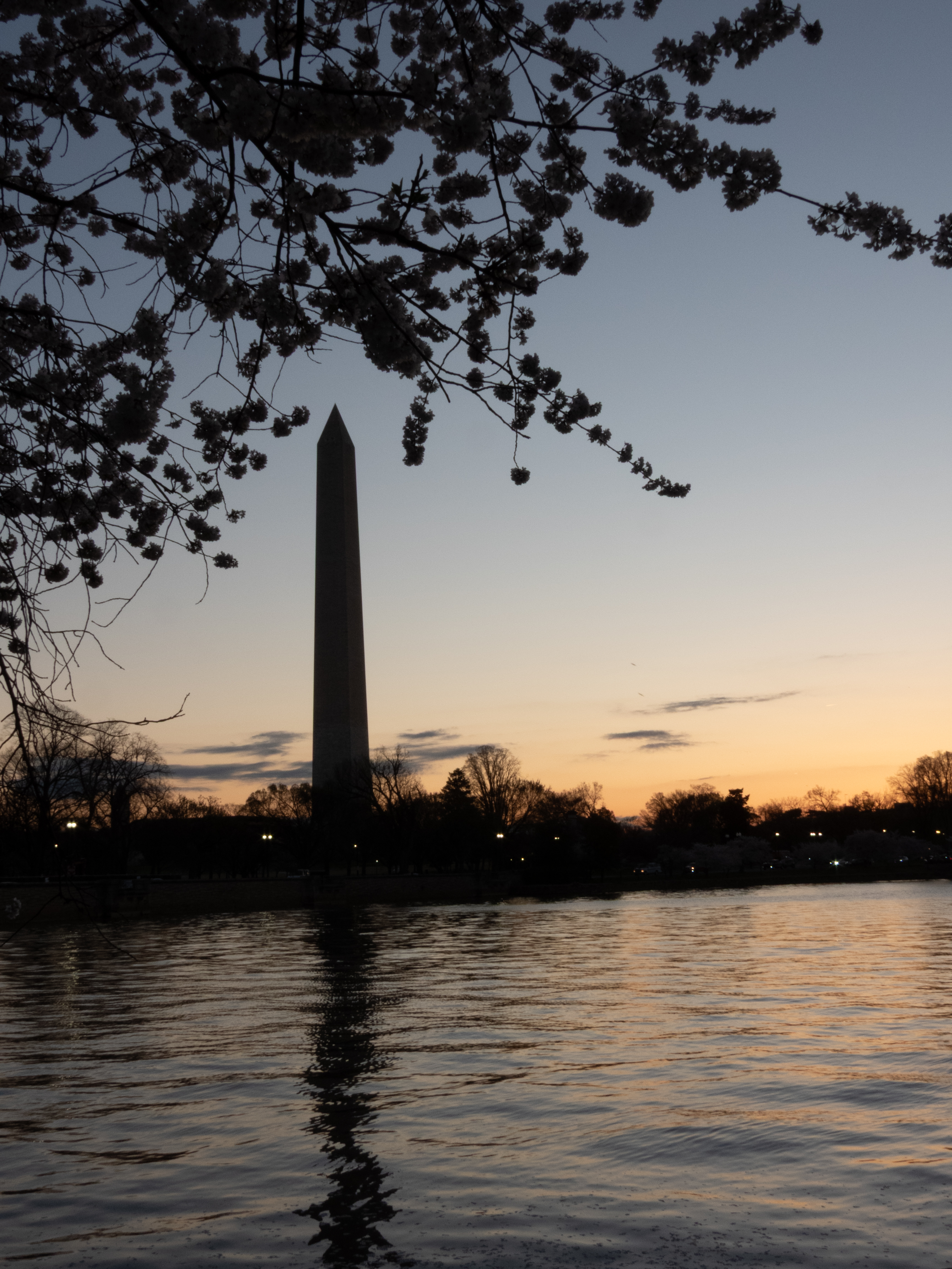 Unedited version of Sunrise over the Tidal Basin
