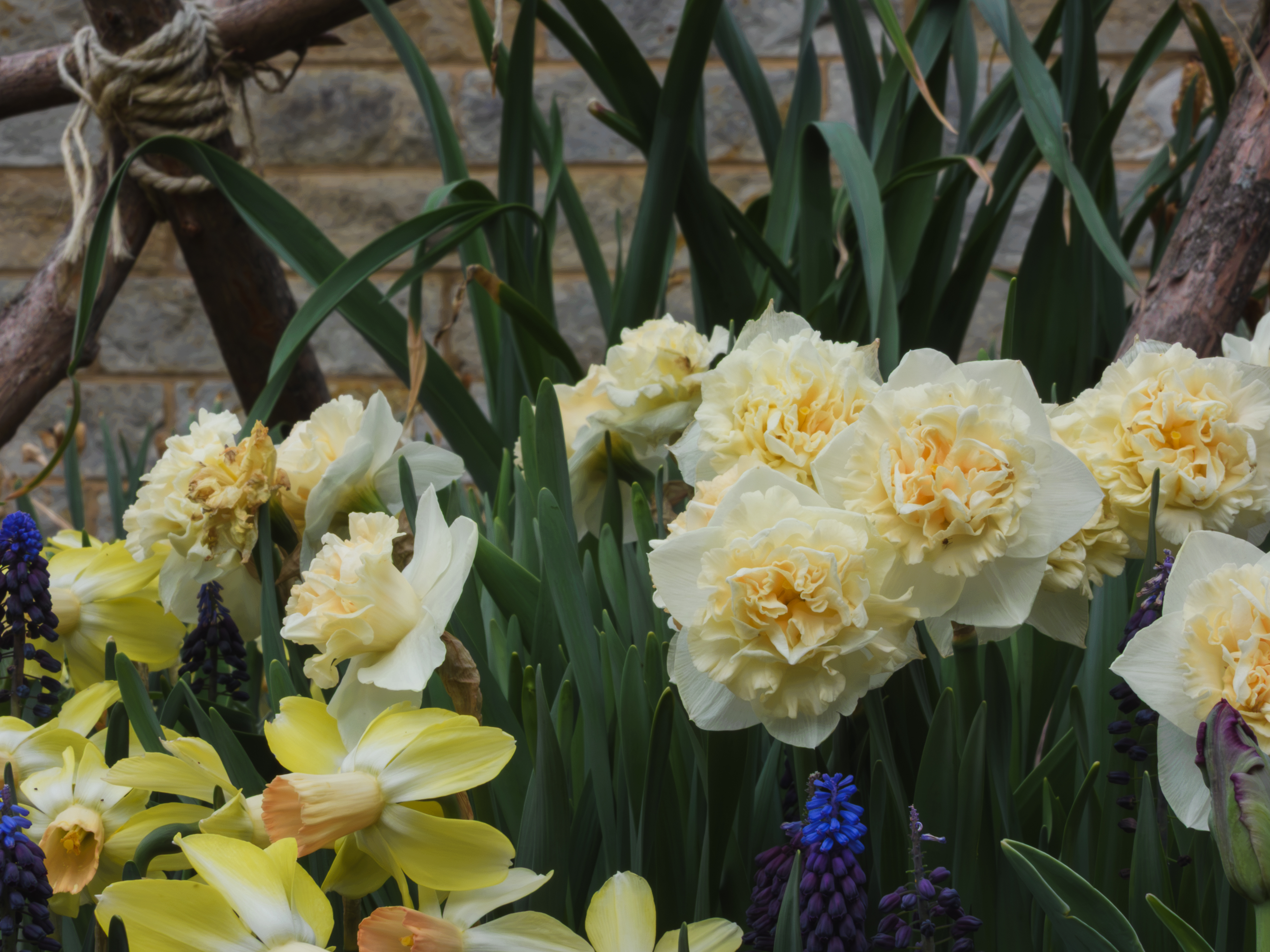 Unedited version of Flowers!