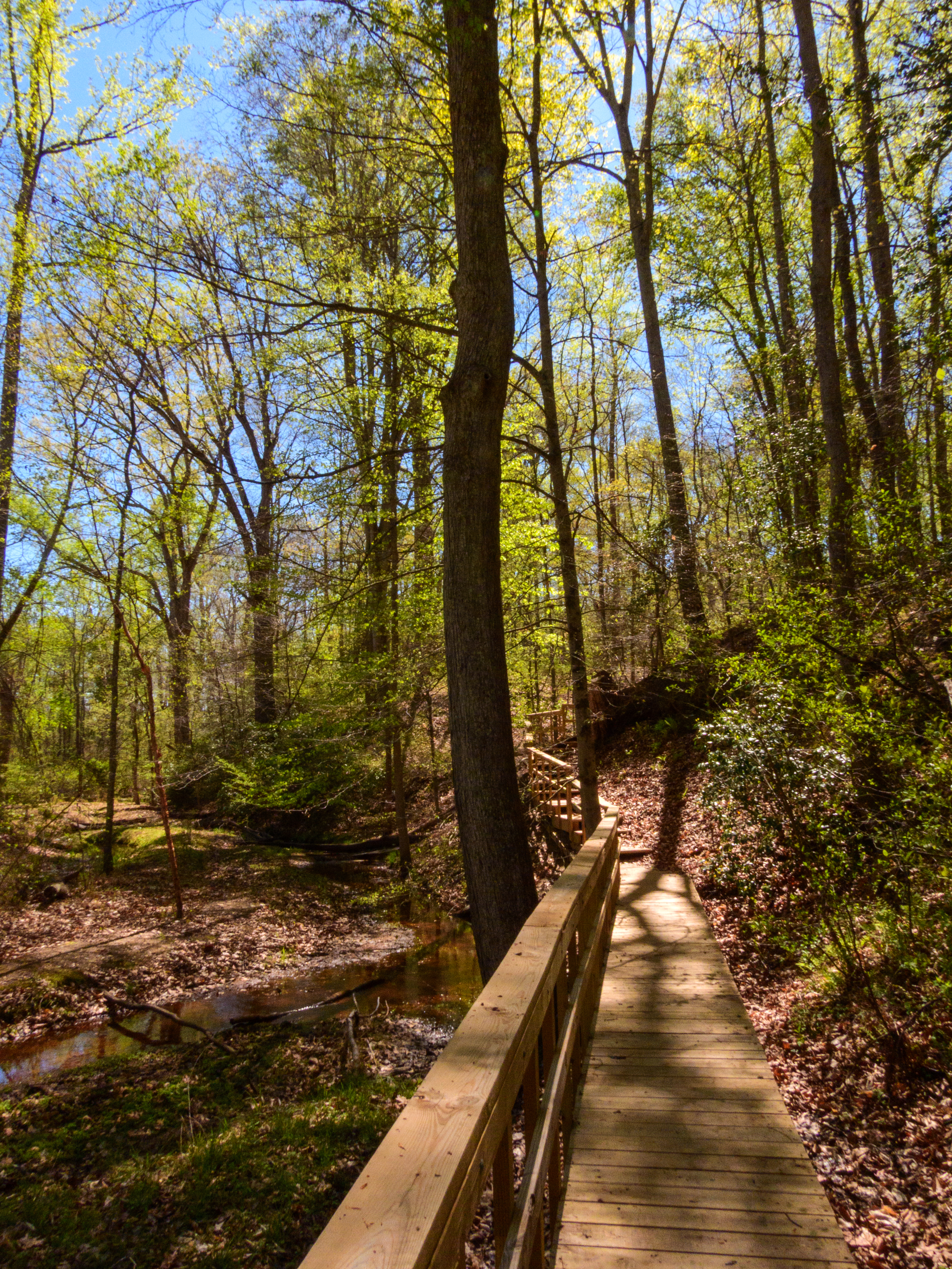 Wooden path