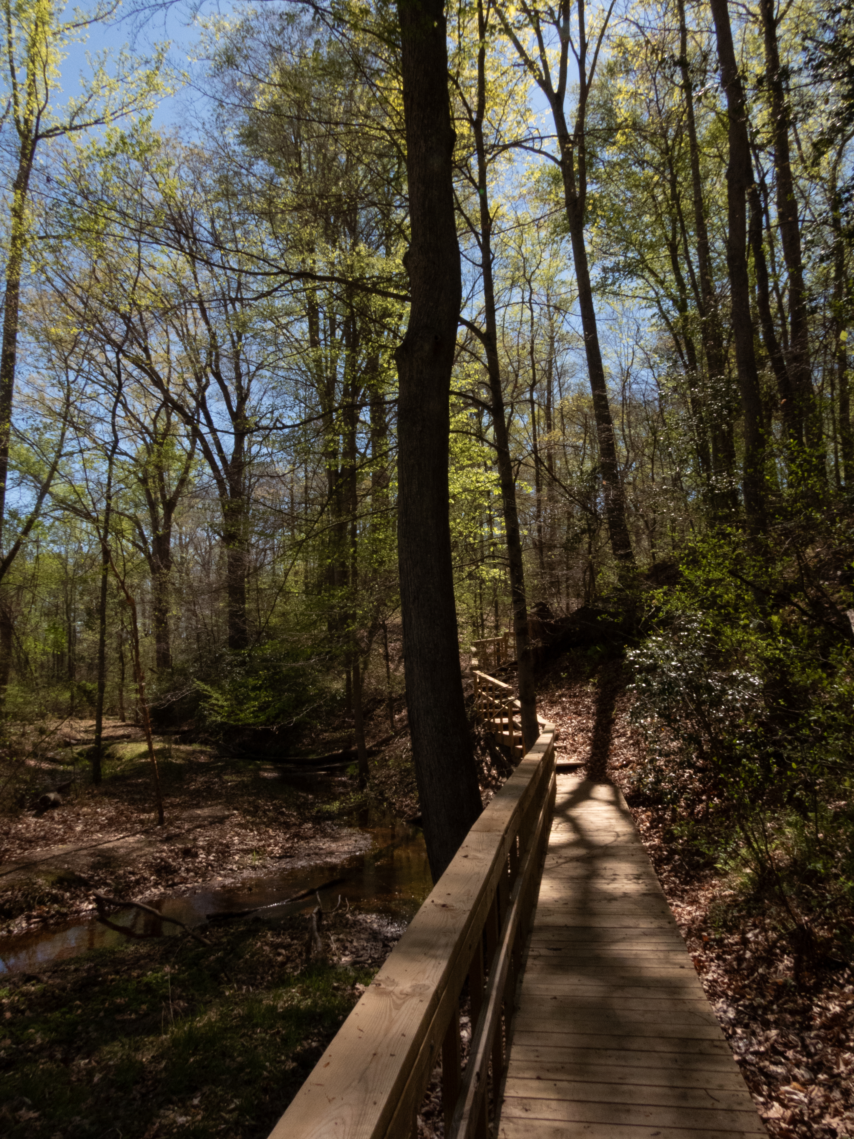 Unedited version of Wooden path