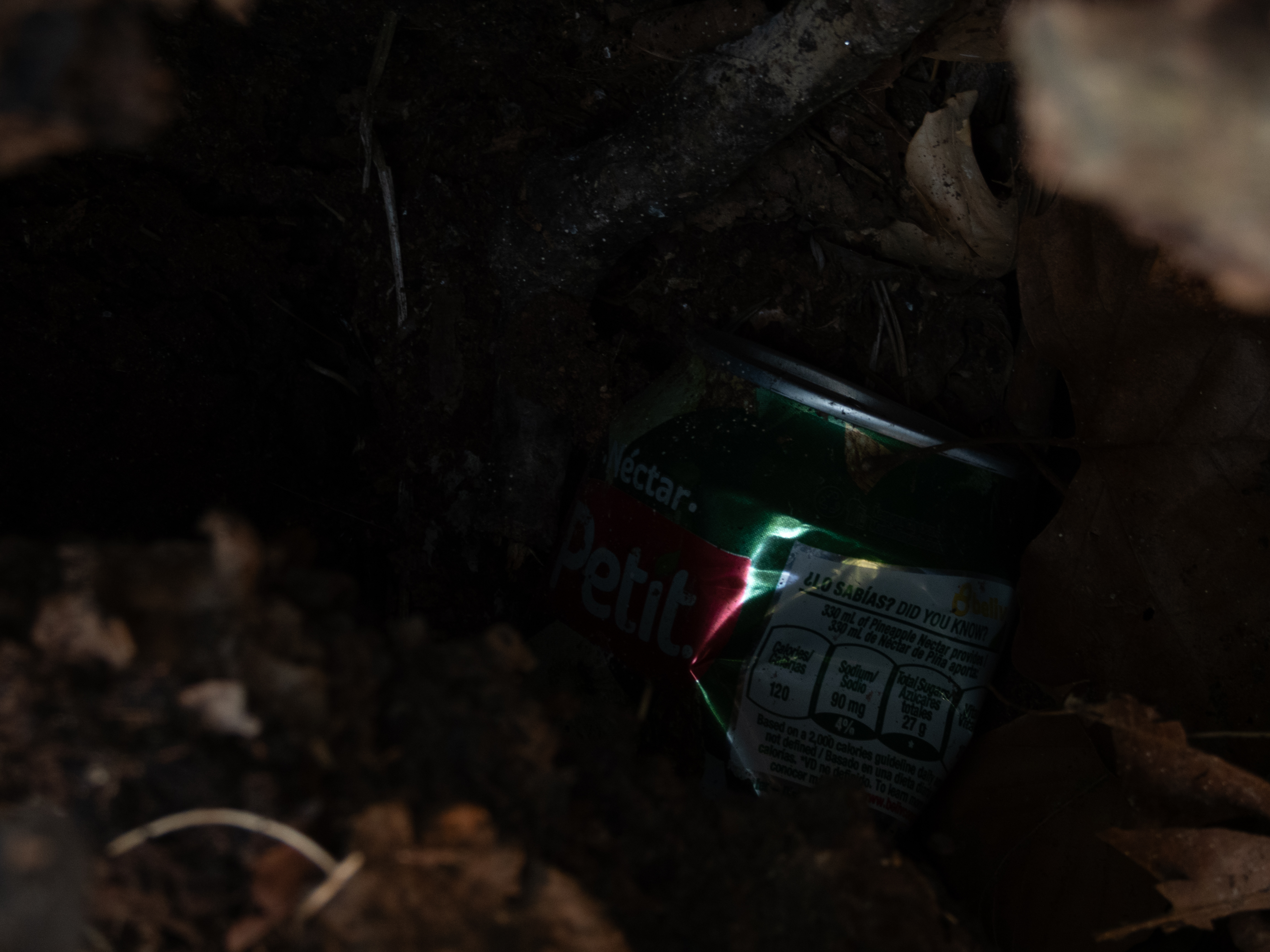 Unedited version of Can