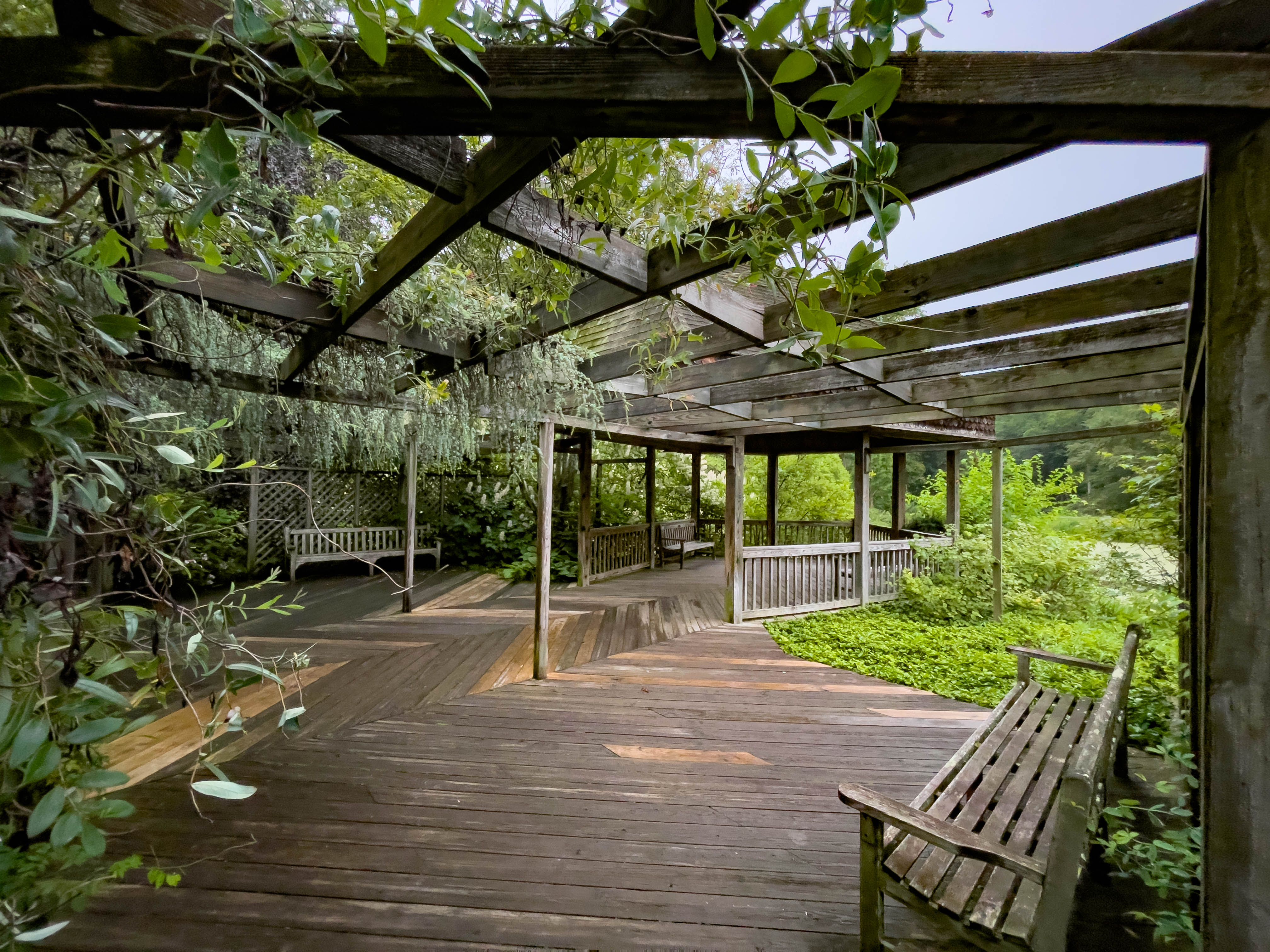 Pagoda at Brookside Gardens