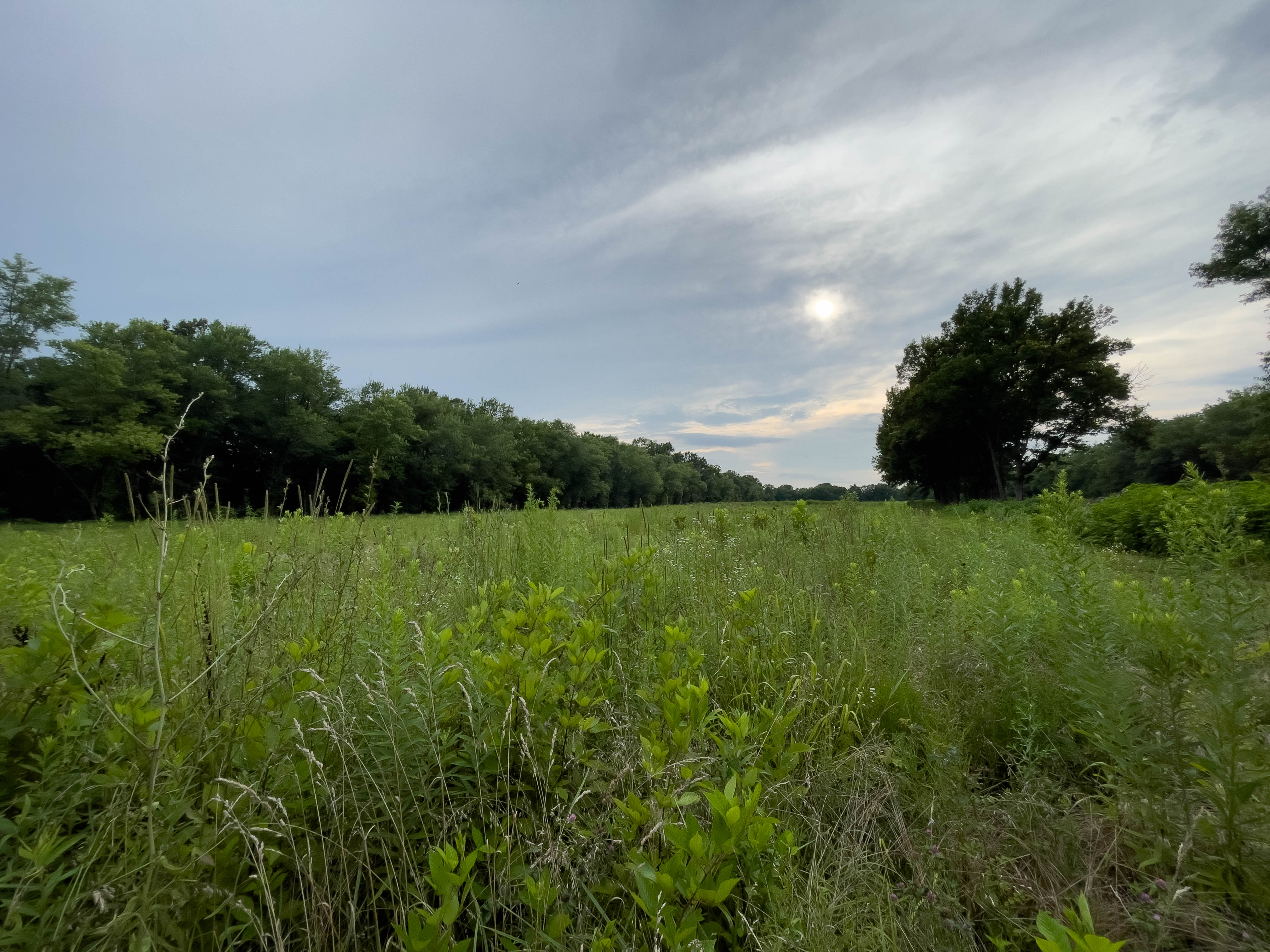 Unedited version of I went with my mom to go look for a sunflower field. When we got there, there were no sunflowers -- just a nice field.