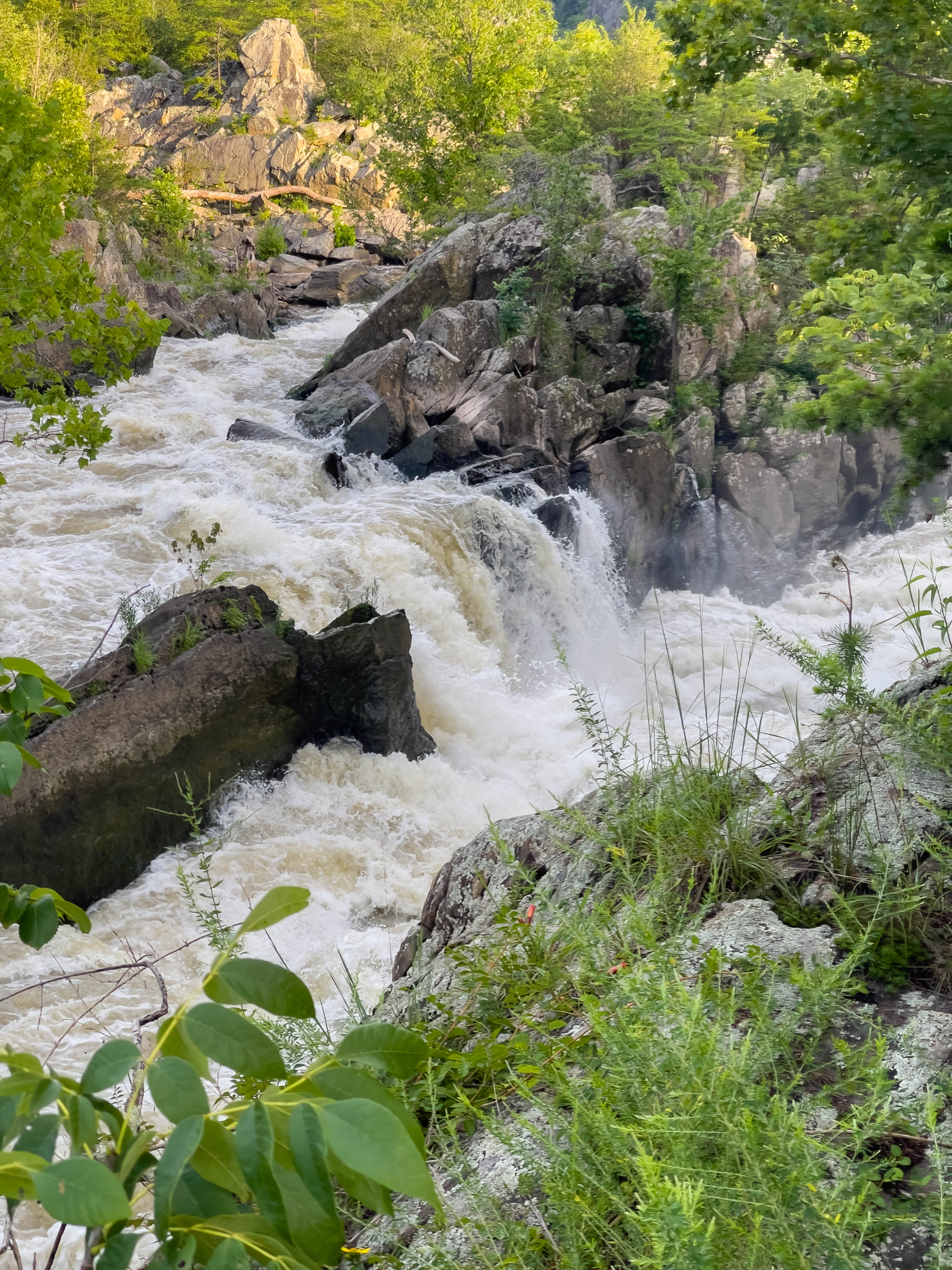 More Great Falls.