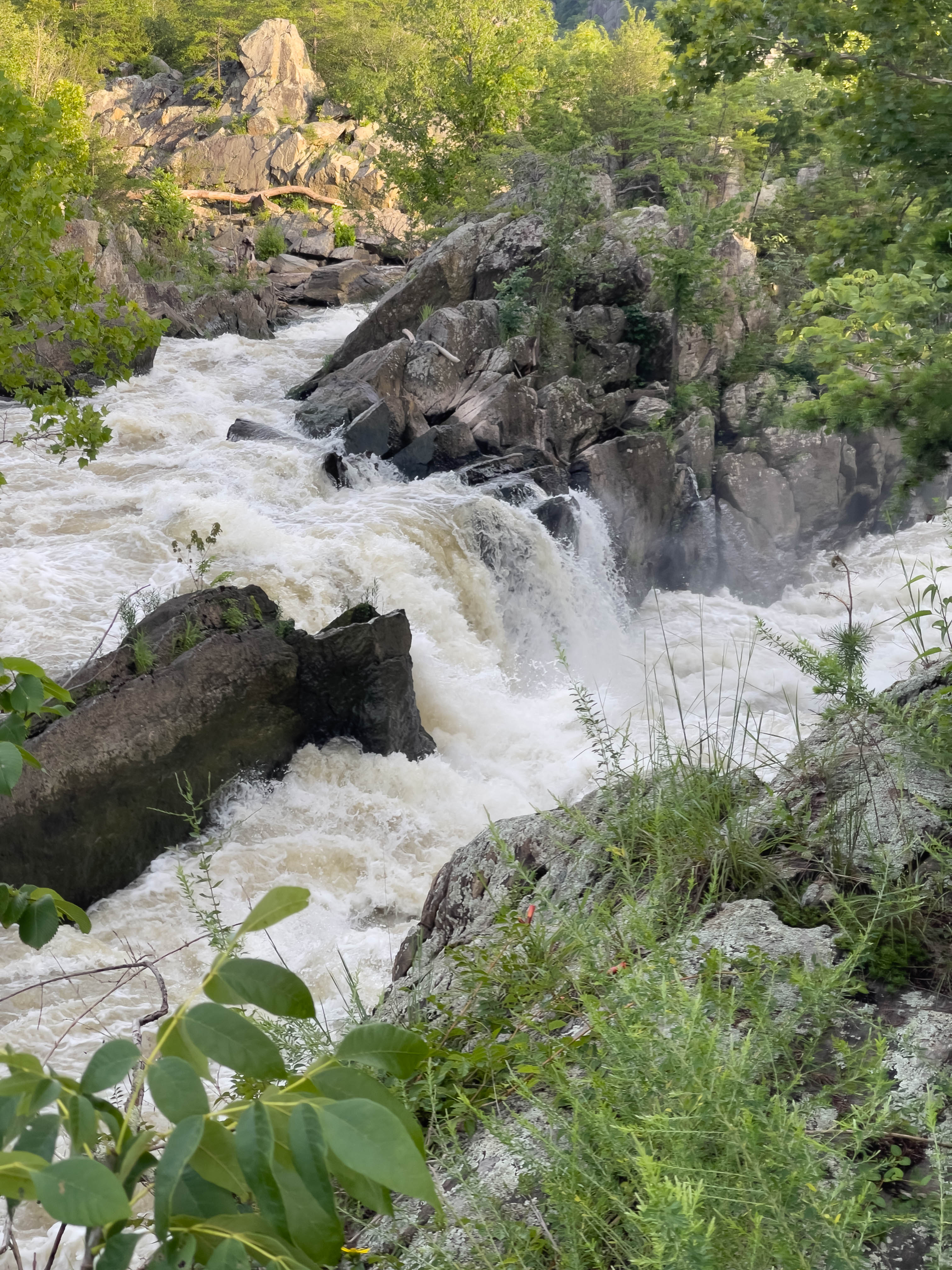 Unedited version of More Great Falls.