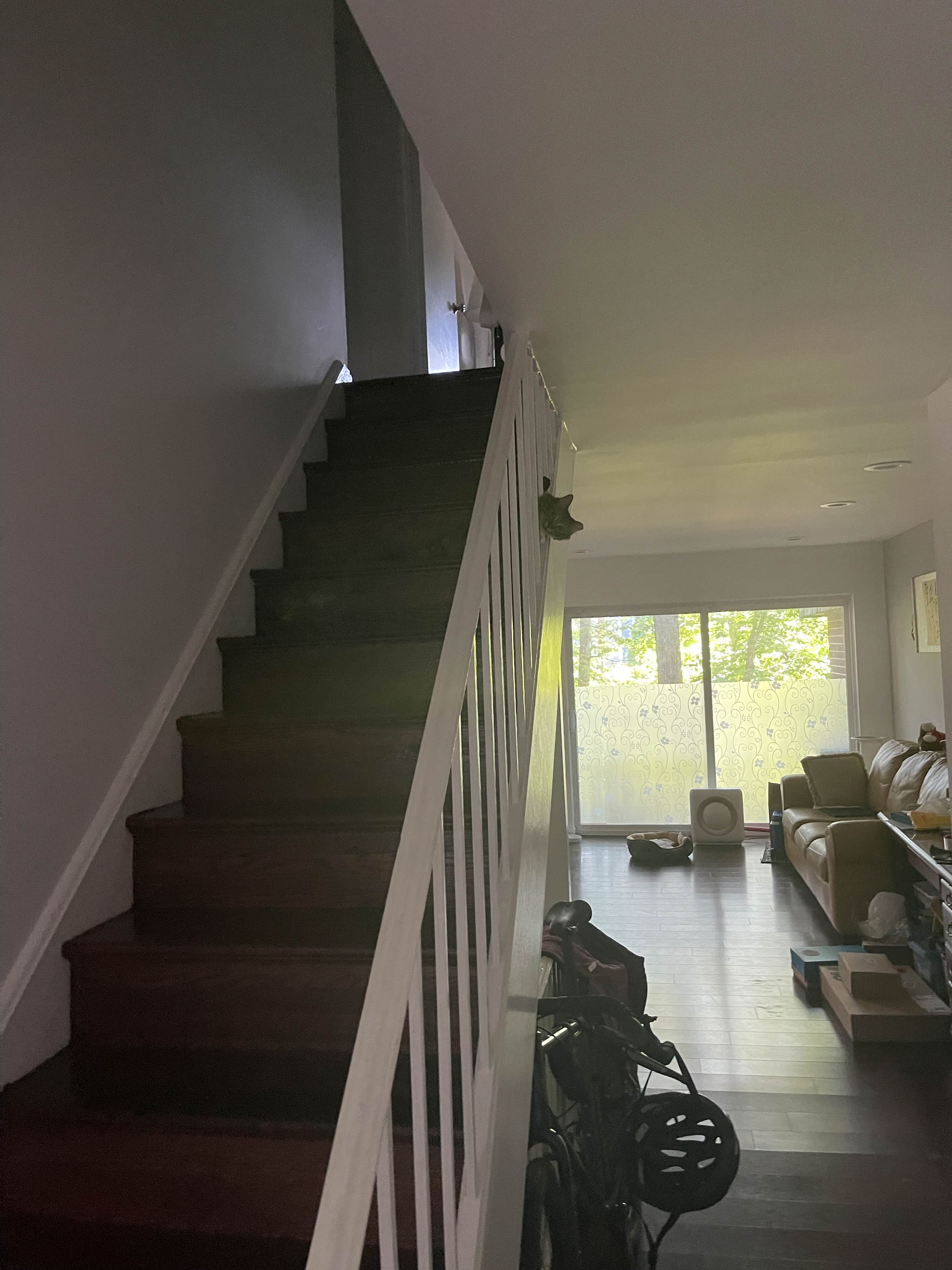 Unedited version of Cat investigating from the stairwell