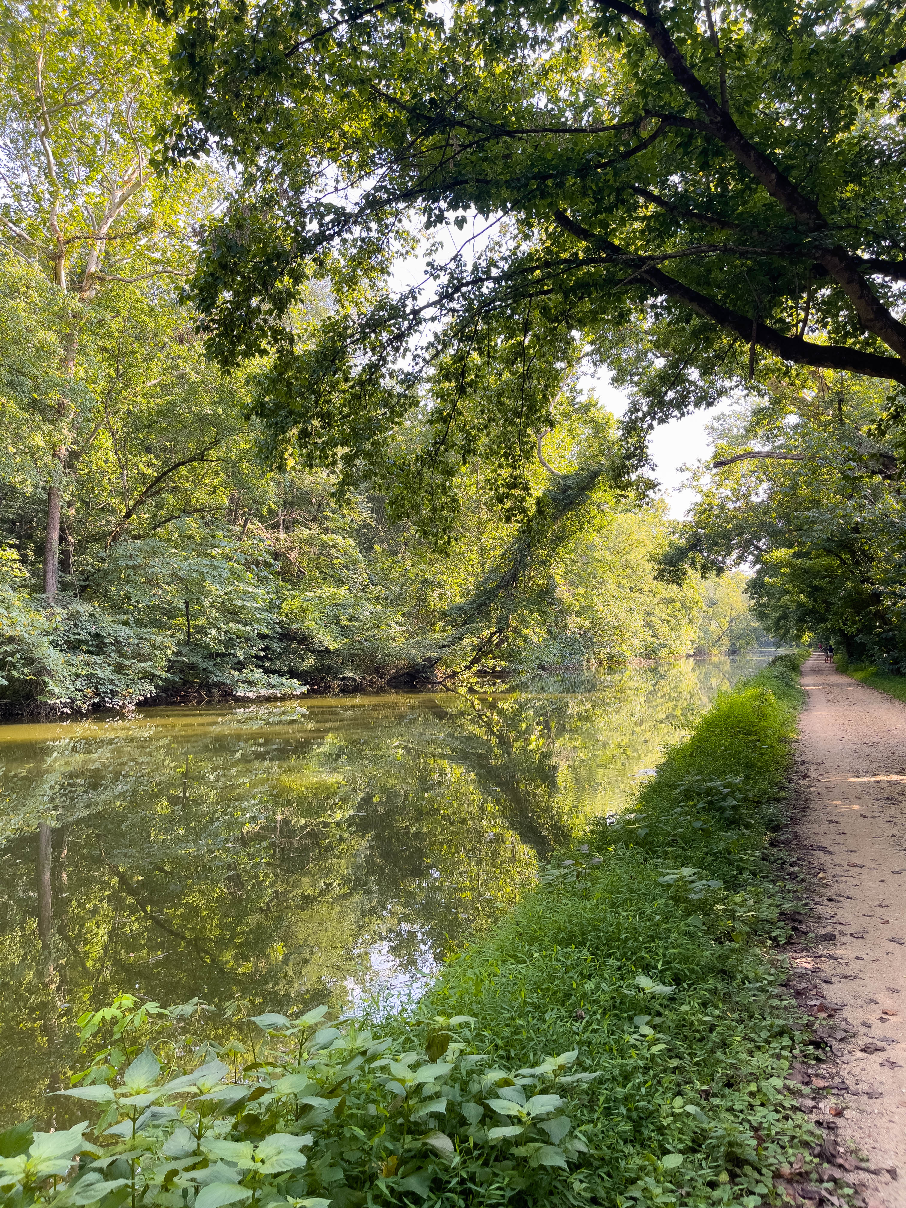 C&O Canal Towpath